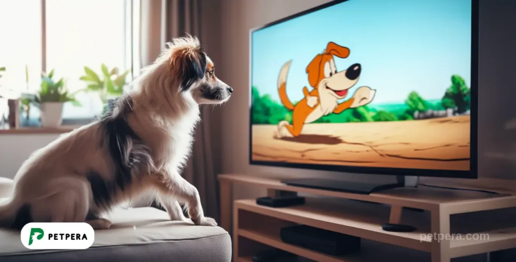 Evde televizyona bakan köpek