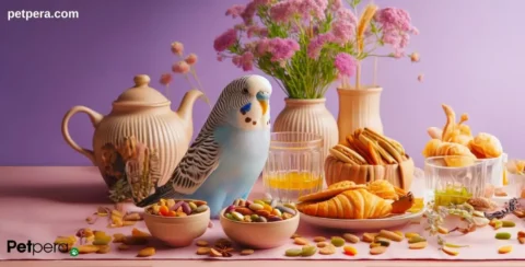 Etrafında yiyecekler olan muhabbet kuşu