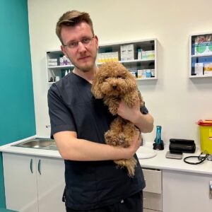 Küçükçekmece Veteriner Kliniği