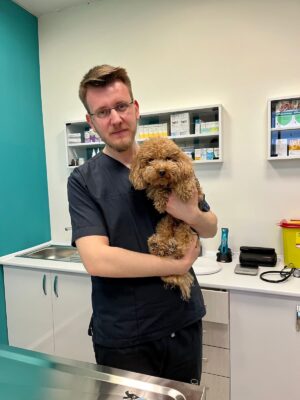 Küçükçekmece Veteriner Kliniği fotoğrafı