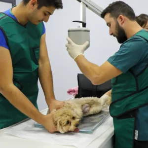 Monavet Veteriner Kliniği