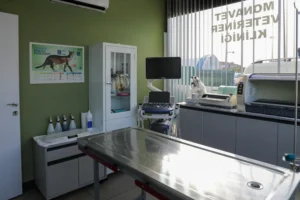 Monavet Veteriner Kliniği fotoğrafı