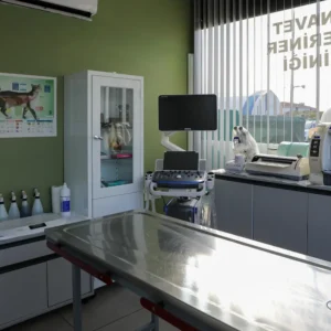 Monavet Veteriner Kliniği