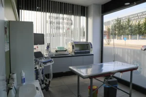 Monavet Veteriner Kliniği fotoğrafı