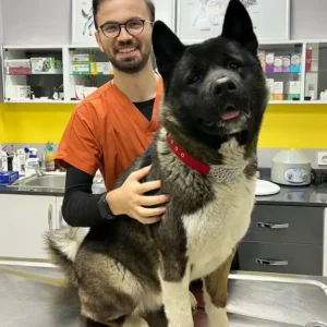 Vetclass Veteriner Kliniği