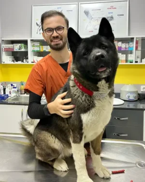 Vetclass Veteriner Kliniği fotoğrafı