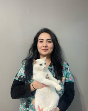 İlayda Akıncı